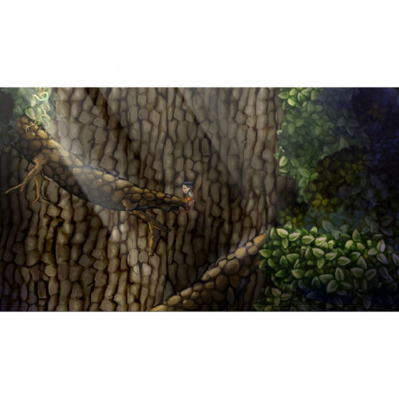 Image00007