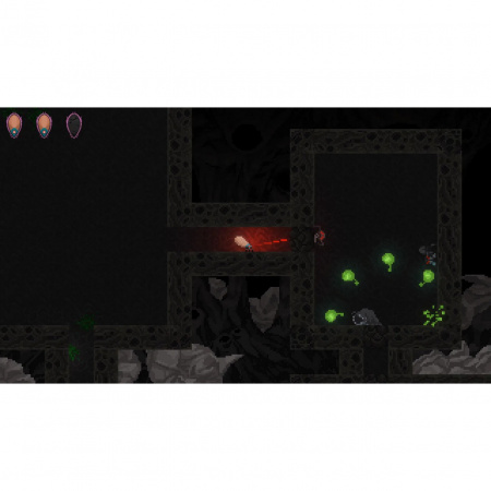 Image00005