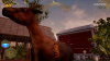 Image00006