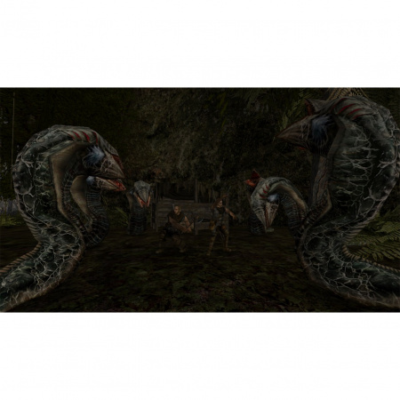 Image00004