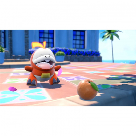 Image00010