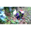Image00004