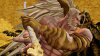 Image00005