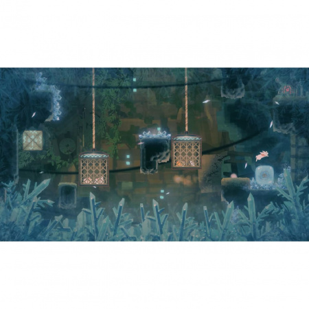 image 00009