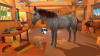 Image00005