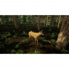Image00006