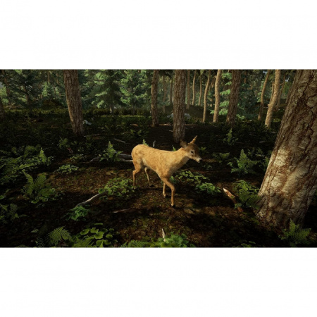Image00006