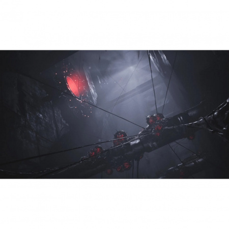 Image00006