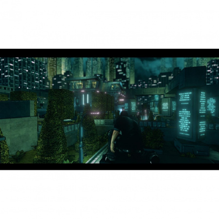 Image00010