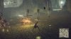 Image00009