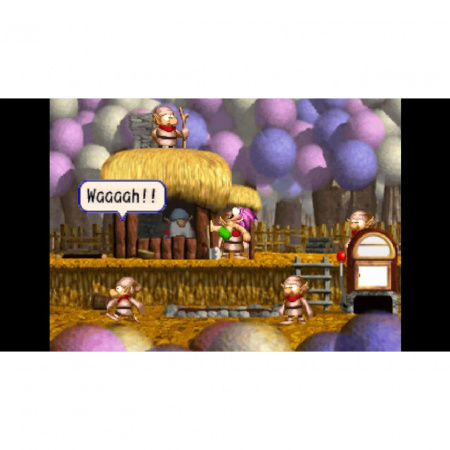 image 00005