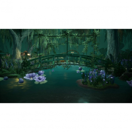 image 00009