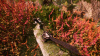 Image00010