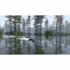 Image00005
