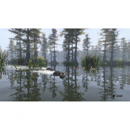 Image00005