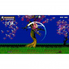 image 00007