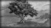 Image00002