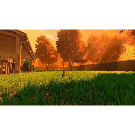 image 00005