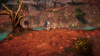 image 00009
