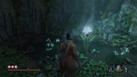 Image00007