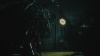 Image00007
