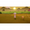 image 00004