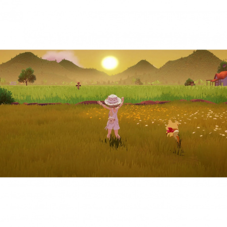 image 00004