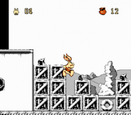 rabbit_5