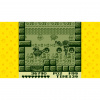 image 00007