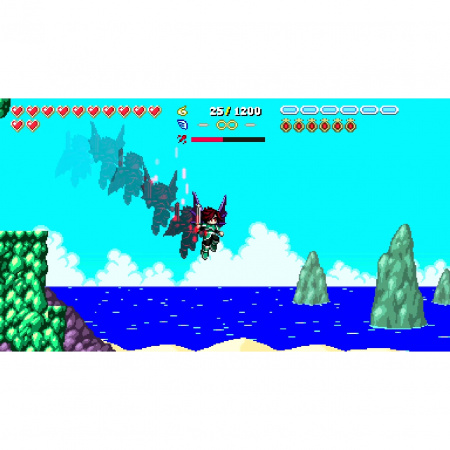 image 00002