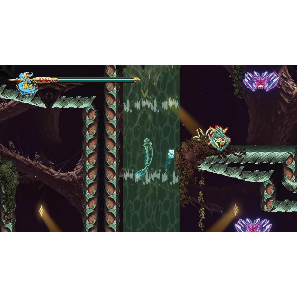 image 00004