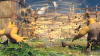 Image00008