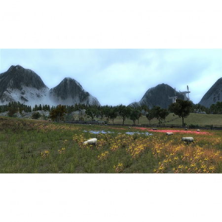 Image00009