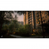 image 00005