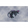 image 00001