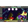 image 00005