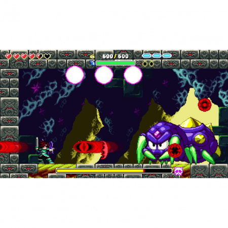 image 00005