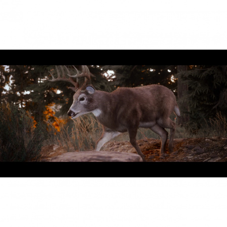 image 00005