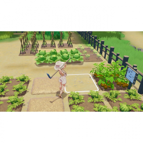image 00001