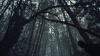 Image00010