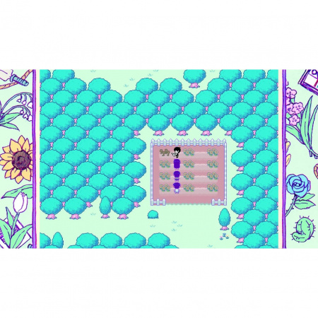 image 00003