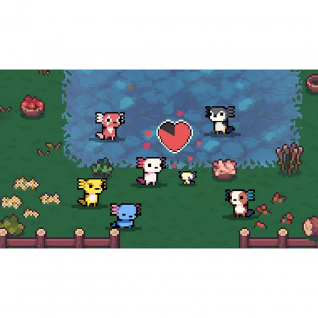 image 00002