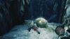 Image00005