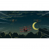 image 00012