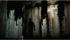 Image00007
