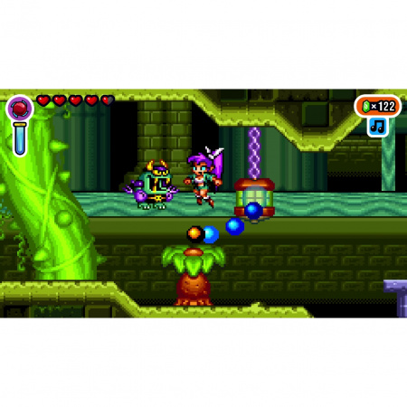 image 00005