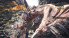 Image00003
