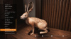 Image00001