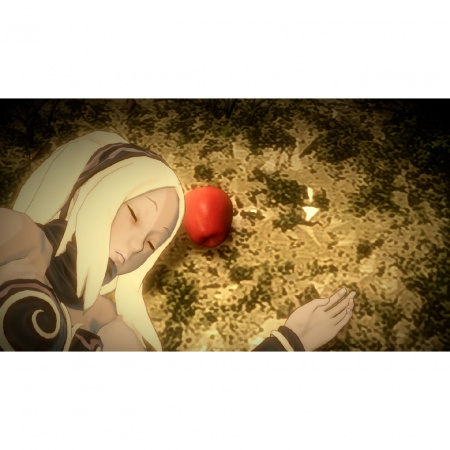 image 00012