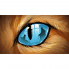 Image00005
